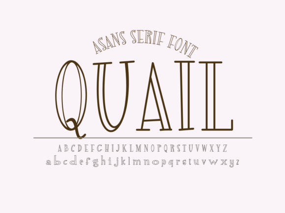 Quail: The Playful Display Font for Distinctive Branding